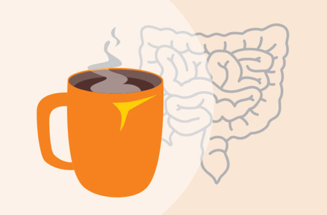 آیا قهوه باعث یبوست می‌شود | 4 راهکار حل مشکل - گرین بینز